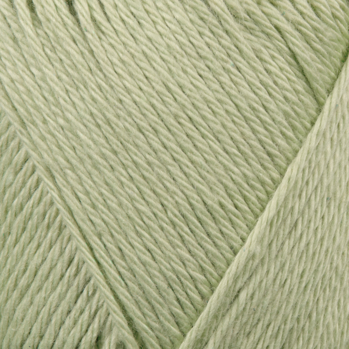 Cotton Junior 8/4
