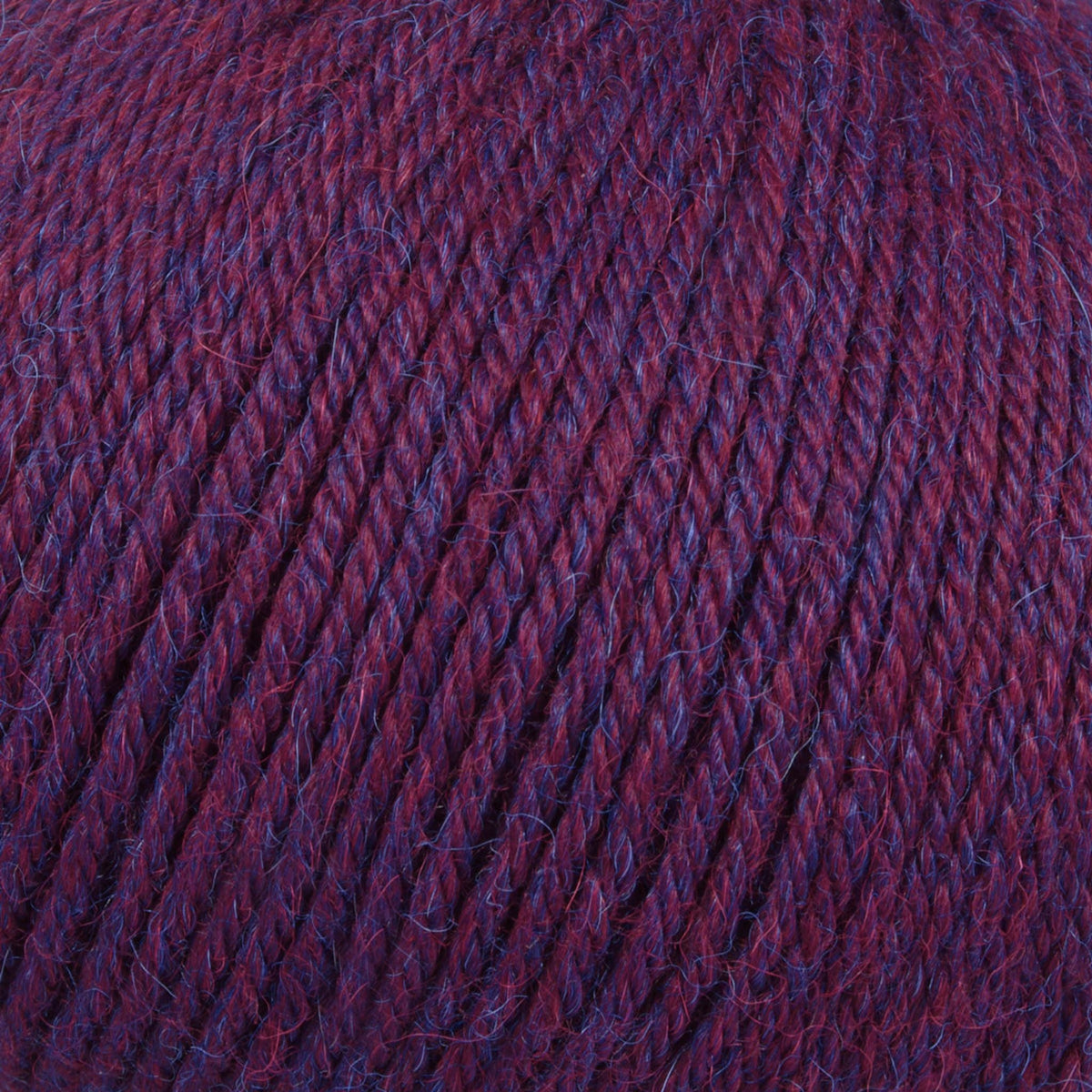 PREMIUM Alpaca