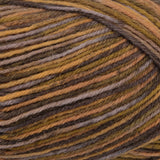 Vega Sock Yarn Universe