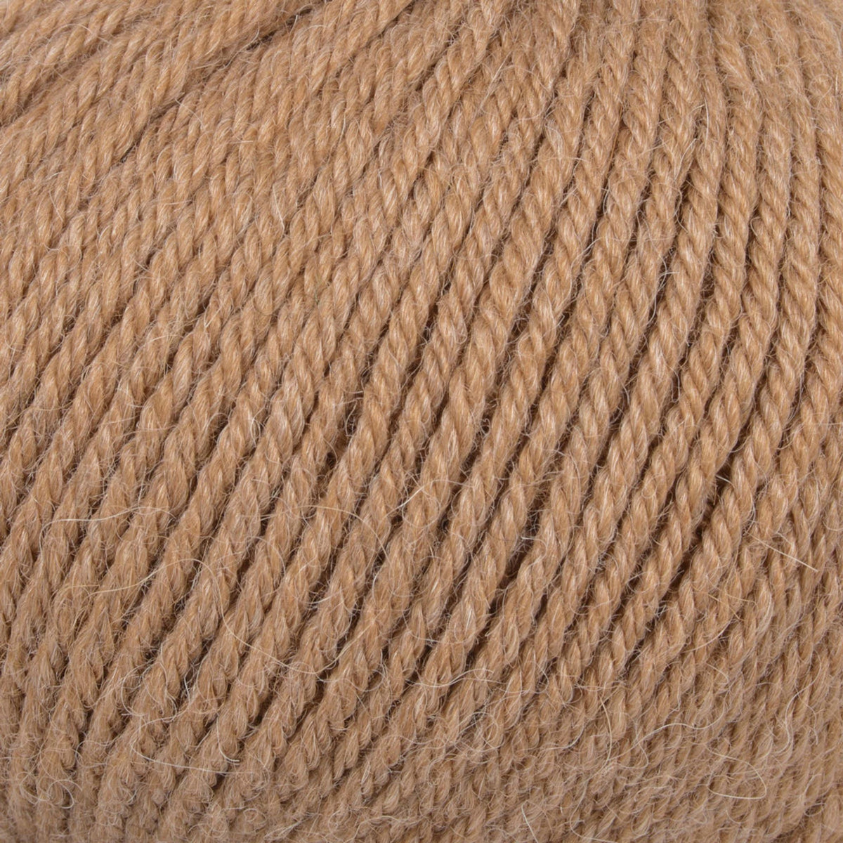 PREMIUM Alpaca