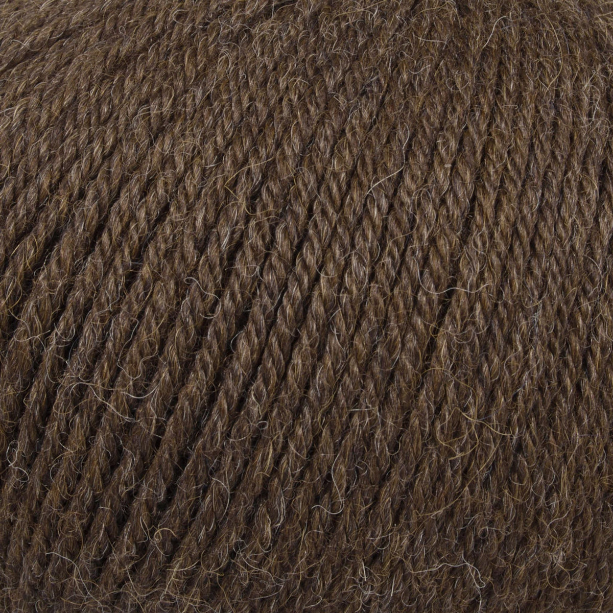 PREMIUM Alpaca