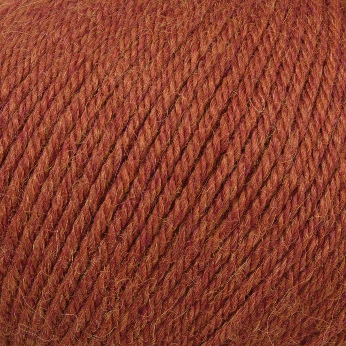 PREMIUM Alpaca